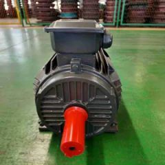 Specialized Electric Motors for Deceleration, Transportation, Compressors, and Other Fields - Image 4