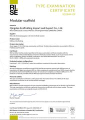 RISE certificate from Shandong Prima Construction Formwork Co., Ltd.