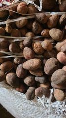 Shea Nut – product photo 2, product detail gallery