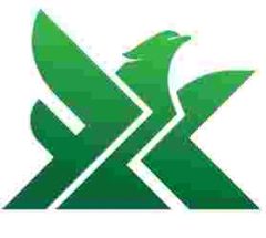 Xiamen Flying Silicone Rubber Co., Ltd.