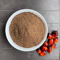 Palm Kernel Expeller (PKE) – product photo 1, product detail gallery