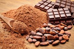 Dried cocoa beans - Image 1