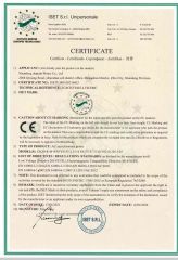 ISET certificate from Qingdao Enlightening Cart Co., Ltd