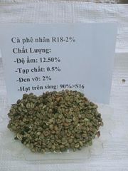 ROBUSTA - Image 5