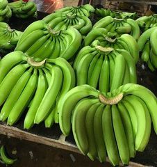 High quality bananas from Vietnam/fresh bananas/100% tax free – product photo 2, product detail gallery