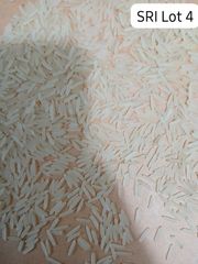 Long Grain 1121 Sella Basmati Rice – product photo 1, product detail gallery
