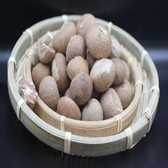 Supply High quality dried Betel Nut from Vietnam raw material fast delivery time best price – product photo 5, product detail gallery