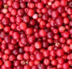 Frozen Cranberry - Image 1