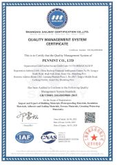 ISO 9001 certificate from Pennint Co., Ltd.