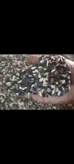 Sunflower seeds - Image 1