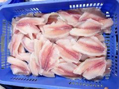 HACCP Frozen Tilapia Fillet Fish Type Fish Origin China Model NO. TILAPIA Trademark primega Shelf Life >12 Months Saving Condition - Image 2