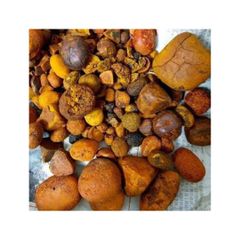Top-Grade Cow Gallstones  100% Organic & Sun-Dried - Image 2