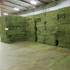 Export Grade Alfalfa Hay Clean Compressed Bale Low Dust High Nutrition for Animal Feed – product photo 4, product detail gallery