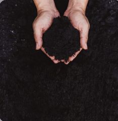 Organic fertilizer - Image 2
