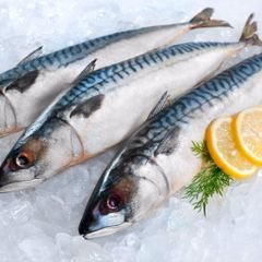 Frozen Mackerel Fish Selected Whole Round Catch Delivering 98% Natural Quality For International Seafood Buyers – product photo 3, product detail gallery