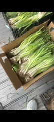 scallion – product photo 2, product detail gallery