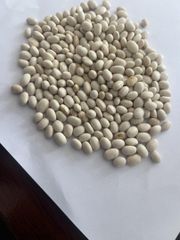 WHITE KIDNEY BEANS Color White Grade Grade 1 Origin South - Image 1