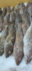 Company – thumbnail 2 of 13, supplier detail gallery