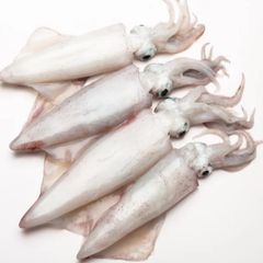 Frozen Squid Frozen Illex Squid 300-400gr. - Image 5