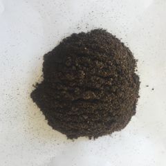RENDAH PLANIFOLIA GOURMET MEDIUM VANILLA POWDER 100% Natural Hot Selling Indonesian Best Bourbon Quality with Best Price - Image 1