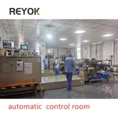 Car Automobile Aluminum Alloy Wheel Electroplating Machine Plating Production Line - Image 5