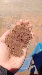 Palm Kernel Expeller - Image 1