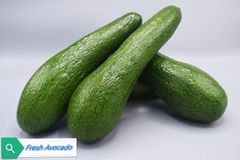 FRESH AVOCADO (Hass/Buccaneer/Booth7)~(Premium/ A,B,C Grades) – product photo 5, product detail gallery