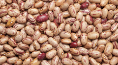 Organic Red Kidney Beans - Image 3