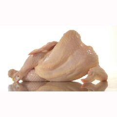 Premium Quality Frozen Whole Chicken/Halal Frozen Boneless Chicken - Image 2
