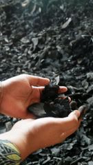 Coconut Shell Charcoal_Natural Size - Image 1