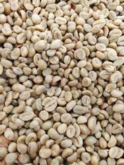 Global Agrinesia Abadi – Authentic Java Origin Green Coffee Beans Arabica & Robusta | Indonesian Terroir Series – product photo 2, product detail gallery