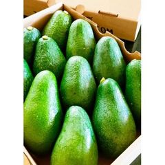 Hass Avocado – product photo 2, product detail gallery