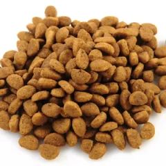 Hot Product Pet Food Processing Line Dog Food Making Machine - Image 6