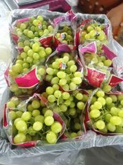 Fresh Egyptian Grapes - Image 3
