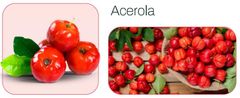 Frozen Acerola Pulp NFC Color Red Drum Net Weight 170 Kg Place of Origin Brazil Storage Temperature -18 °c Total 40' Net Weight 23.800 Kg - Image 2
