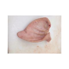 Frozen Front Pork Ears grade Cheap frozen meat halal pork meat Wholesale Frozen Pork Ears for sale BEST QUALITY FROZEN Pork Ears BRAZIL ORIGIN Available for Supply Frozen Front Pork Ears grade Cheap frozen meat halal pork meat Wholesale Frozen Pork Ears for sale BEST QUALITY FROZEN Pork Ears BRAZIL ORIGIN Available for Supply - Image 5