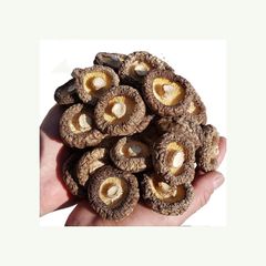 Cultivated Shiitake Dried Mushroom Whole Fresh Flower Mushroom without Stem for Food Raw Processing - Image 4