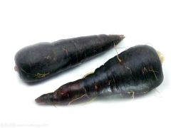 Health Food Natural Black Radish Powder - Image 3