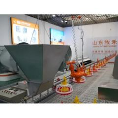 Automatic Equipment Chicken Poultry Farming Pan Feed Line System - Image 6
