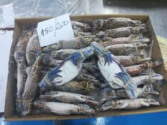 Blue Swimming crab - Image 2
