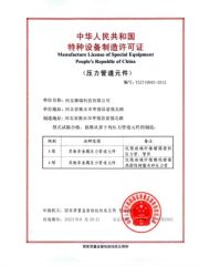 Pressure piping element certification certificate from ZDProTech Technology Co., Ltd.