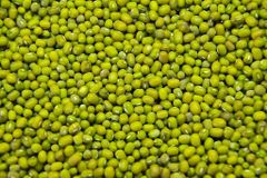 Green Mung Beans - Image 2