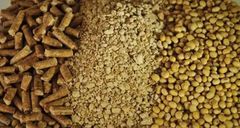 SOYBEAN MEAL FOR EXPORT – HIGH PROTEIN – product photo 3, product detail gallery