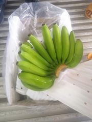 Fruit Texture Thin Skin Flavor Naturally Sweet Size Uniformity Uniform Size Packaging 13–14kg Carton Boxes Packing Type 4-5-6-7-8 Hands Per - Image 8