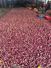 PREMIUM INDIAN ONION - Image 3