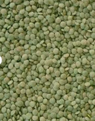 Cheap Wholesale Top Quality White Kidney Beans in Bulk White Kidney.Buy Black Kidney Beans / Black Beans Best Price, Black Kidney – product photo 2, product detail gallery