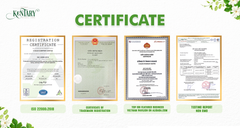 V.kaus company ltd certificate from AZU EMOBILITY LLC