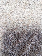 Premium Natural White Sesame Seeds - Image 1