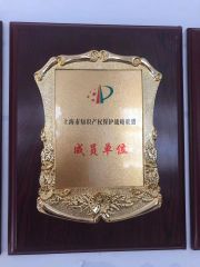Intellectual property certificate from Qingdao Interplast Machinery Co., Ltd.