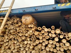 Bamboo products decorative bamboo poles bamboo raw materials from 99 Gold Data (84 327076054) - Image 4